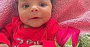 Leilani is registered to the contest to win money with this photo: baby, infant, red_clothing, blanket, rose, flower, pink, cute, portrait, newborn, hand, cozy, celebration, valentines_day, face, eyes, laying_down, closeup, person, soft_texture
