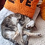 animal, blanket, cat, comfort, cozy, cute, fur, furniture, home_interior, indoor, love_text, orange_pillow, paw, pet, relaxing, resting, sleeping, soft_texture, tail, warm