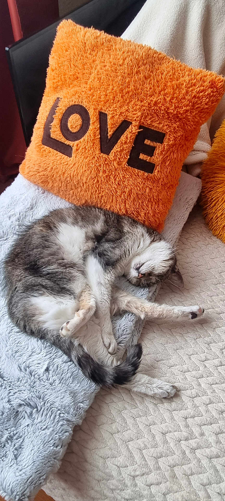 Bobine