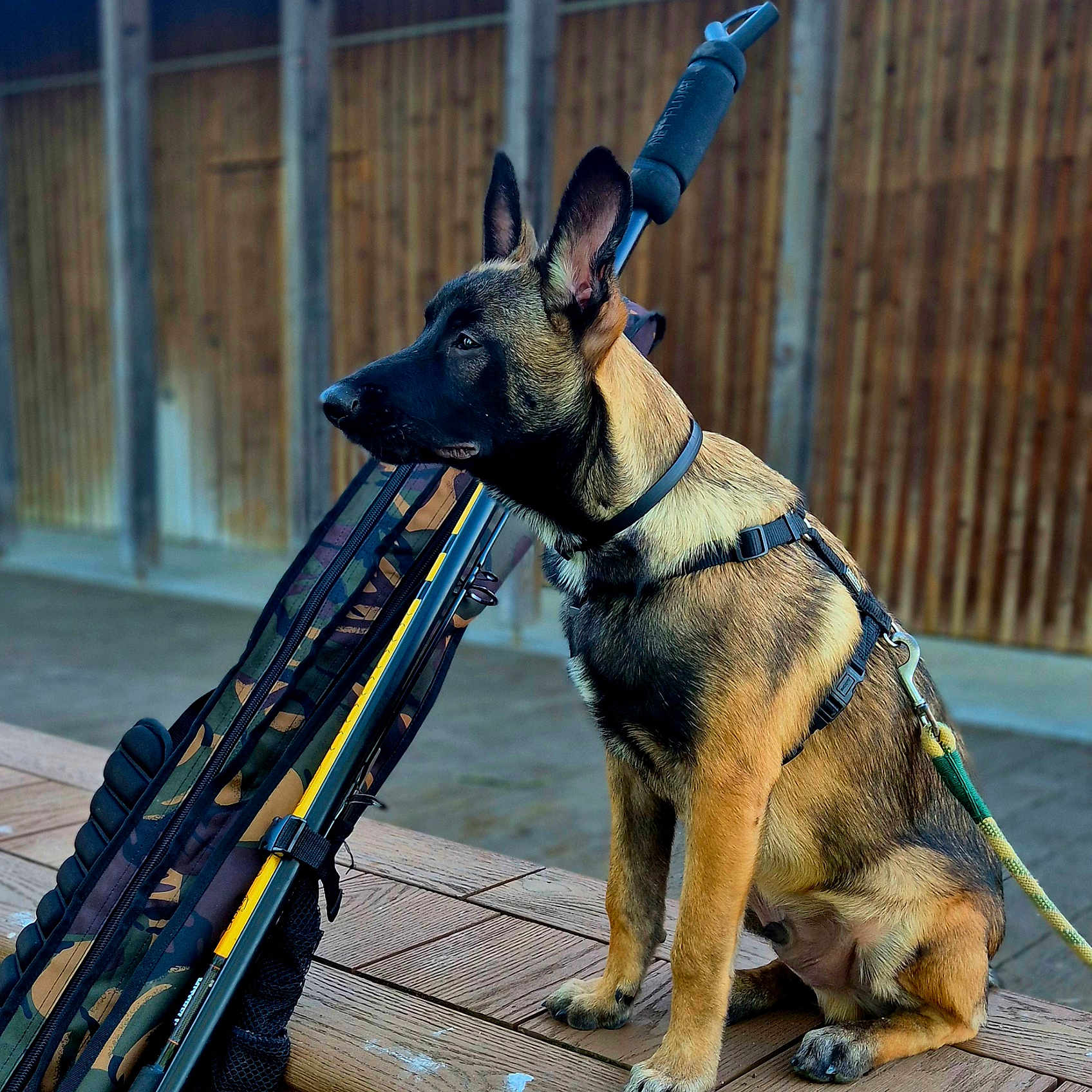 Sossa