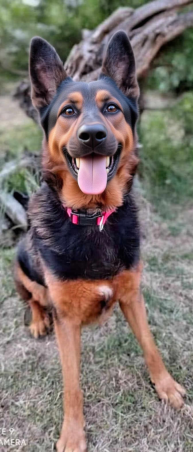 Jack