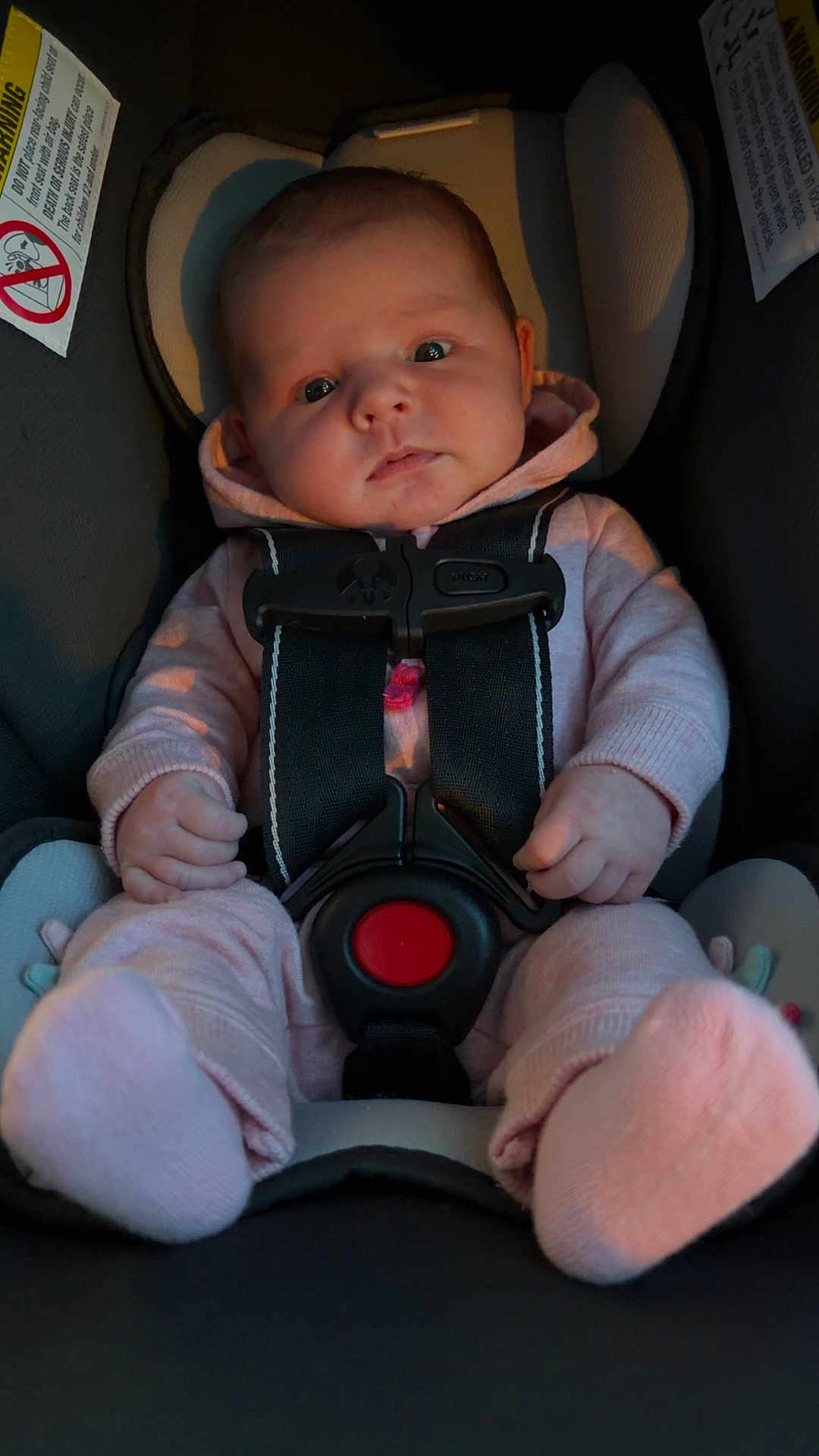 Breylynne is registered to the contest to win money with this photo: baby, car_seat, infant, child, pink_clothing, safety_harness, seat_belt, cute, indoor, portrait, newborn, hands, feet, looking_at_camera, expression, soft_lighting, seat, child_seat, car_interior, cozy