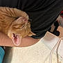 Chicken is registered to the contest to win money with this photo: kitten, cat, sleeping, orange_tabby, pet, arm, human, indoor, cute, fur, nap, resting, animal, closeup, pink_nose, whiskers, person, casual, comfort, adorable