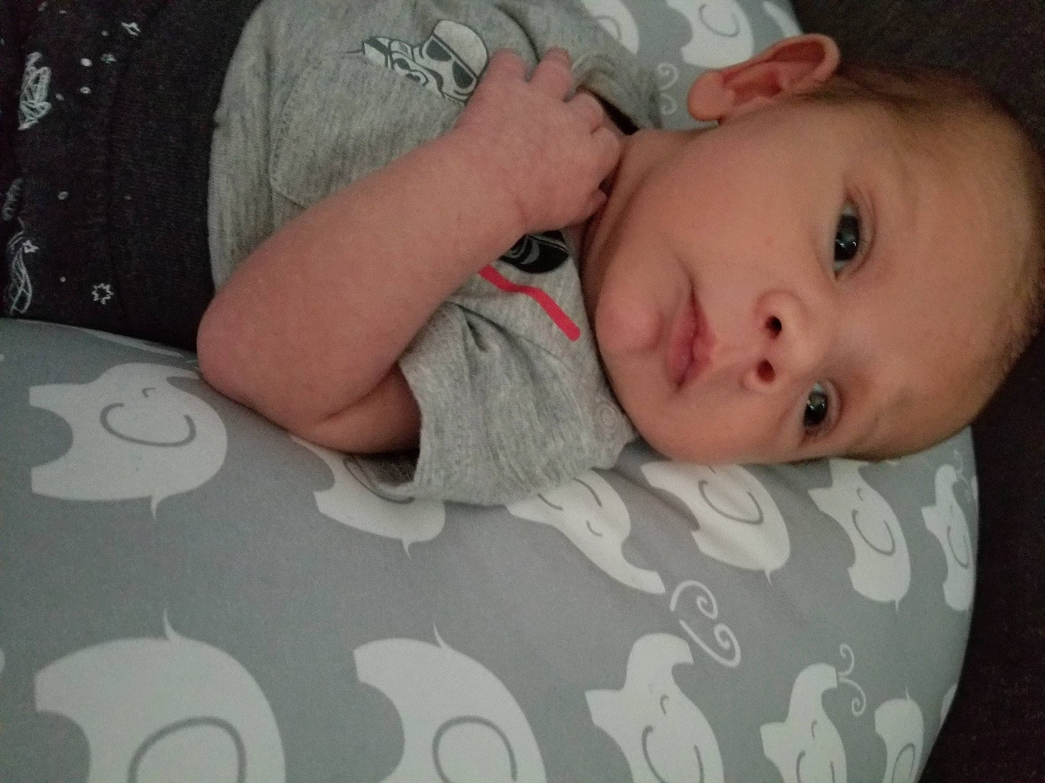 Manuel is registered to the contest to win money with this photo: baby, bedtime, cheek, child, eye, face, hand, head, lip, mouth, nose, person, skin, sleep, toddler