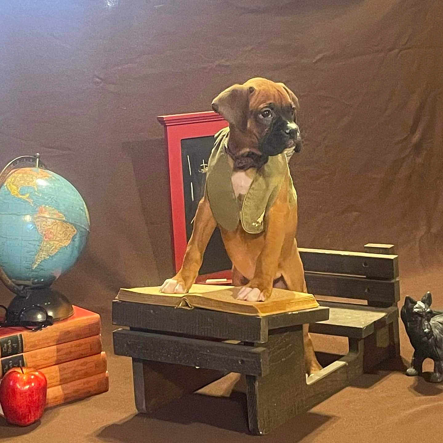 Finnegan joined the competition — help win amazing prizes! puppy, dog, desk, book, globe, apple, figurine, brown_background, indoors, vintage, stacked_books, wooden_furniture, curious, animal, pet, studying, playful, still_life, props, portrait
