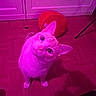 animal, cabinet, cat, curious, cute, domestic_cat, ears, floor, furniture, household, indoor, looking_up, mammal, one_animal, pet, pink_light, plush_toy, red, whiskers, wood_floor