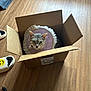 cat, cardboard_box, floor, wooden_floor, slippers, pet_collar, pink_collar, domestic_cat, indoor, pet, box, home, curious, feline, animal, sitting, open_box, household, fur, ears