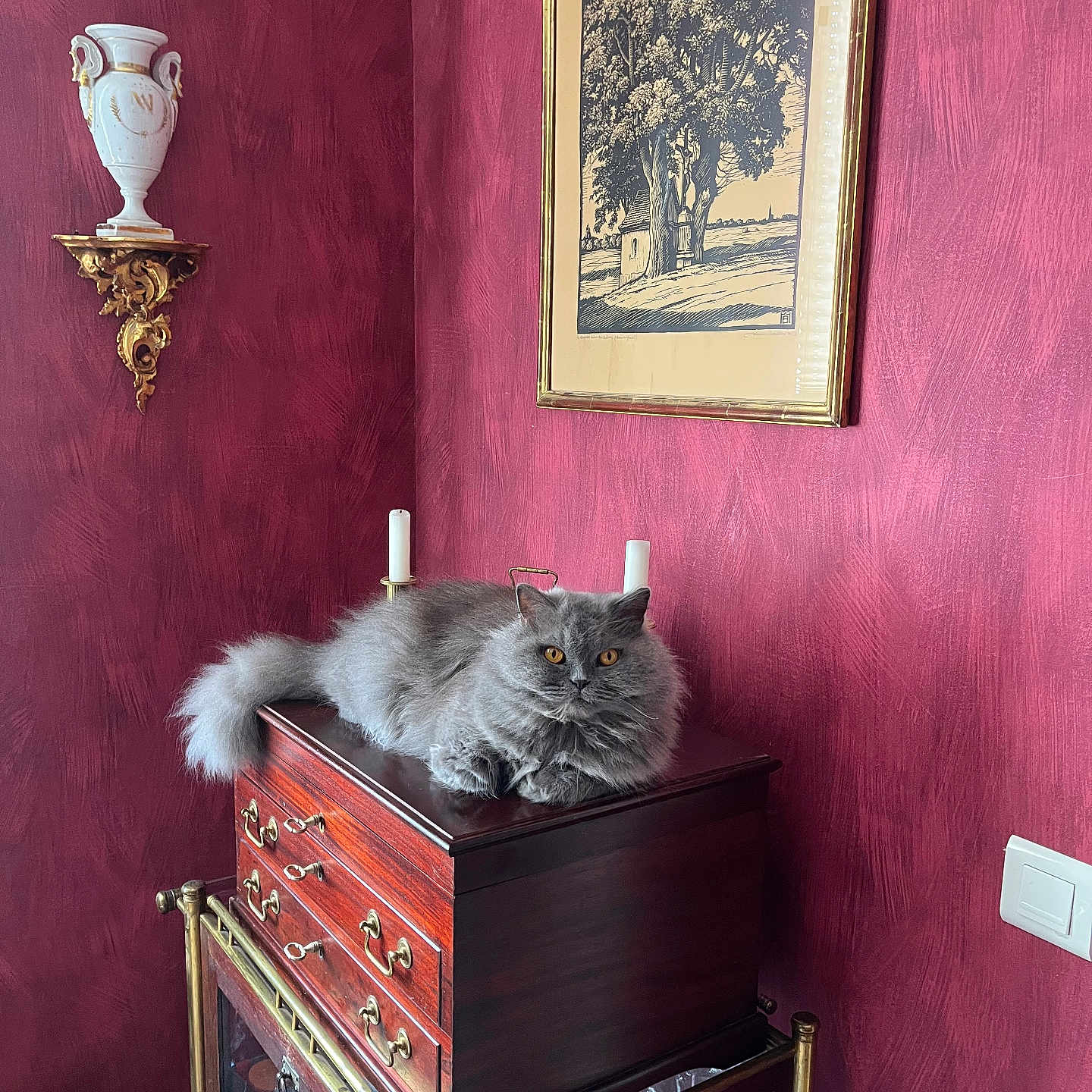 Ella