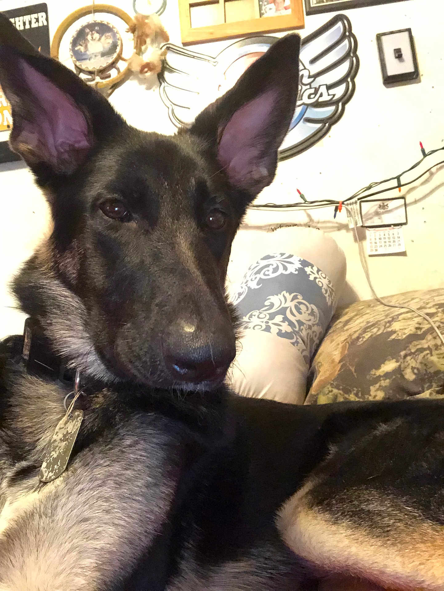 Zoey