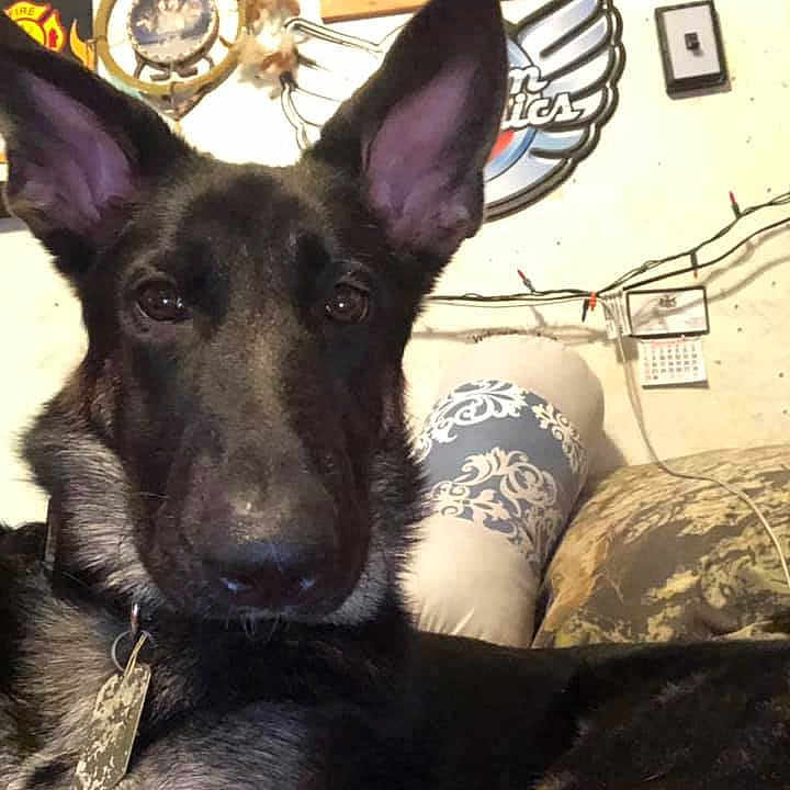 Zoey