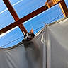 cat, curious, peeking, curtain, white_curtain, blue_sky, wooden_beams, sunlight, shadow, outdoor, pet, animal, feline, looking_up, daylight, relaxed, cozy, home, roof, window