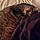 Alfie Rajah Higbee