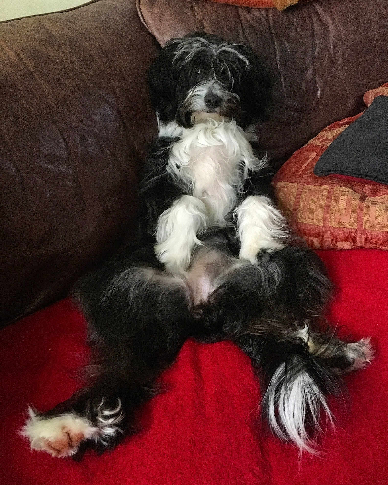 Maddie