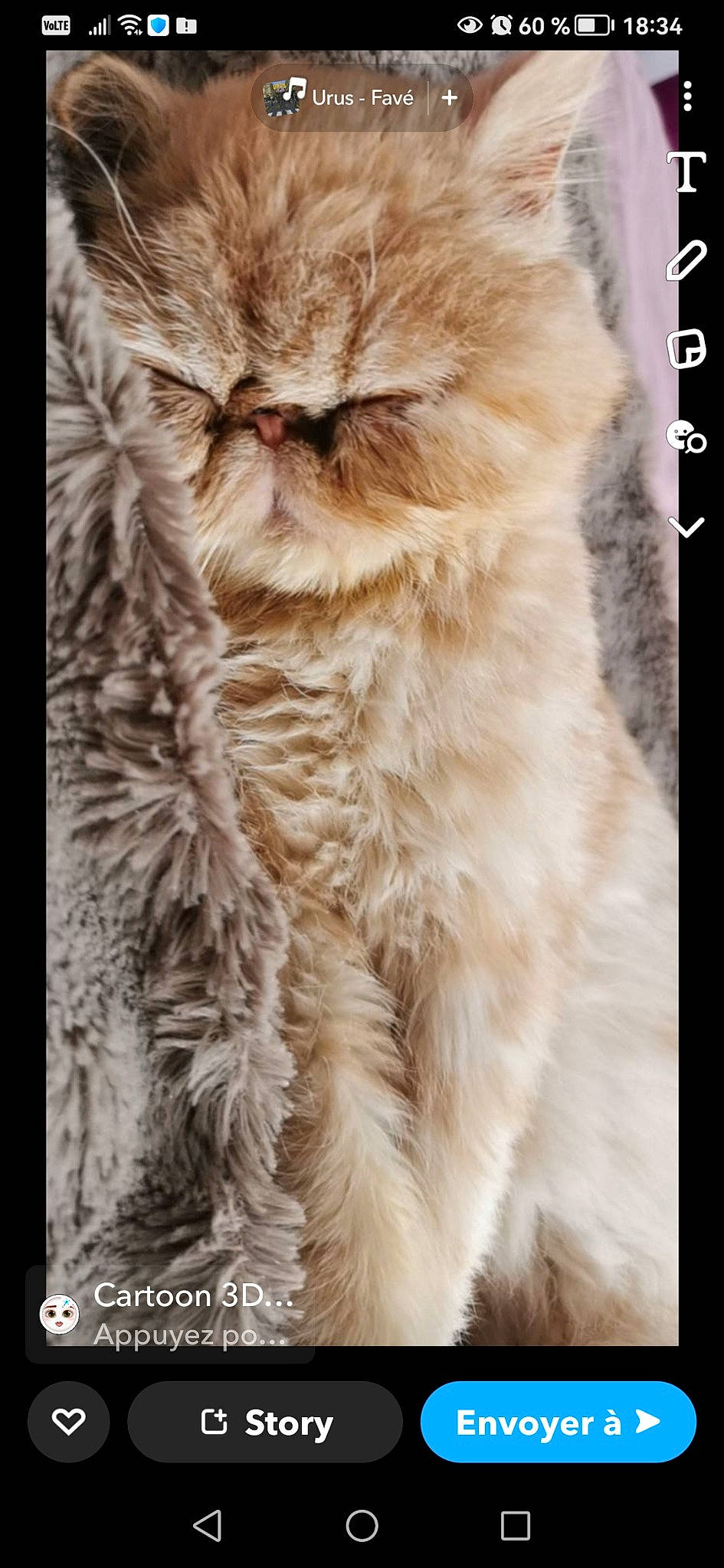 Rosa participe au concours pour gagner de l'argent avec cette photo : carnivore, cat, claw, fawn, felidae, fur, natural_material, peach, plant, small_to_medium_sized_cats, tail, terrestrial_animal, whiskers