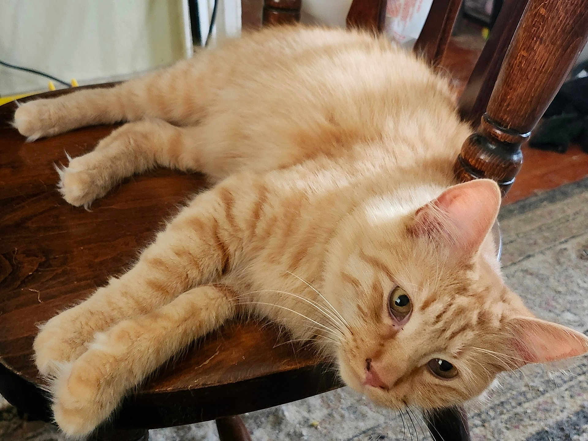 Samson