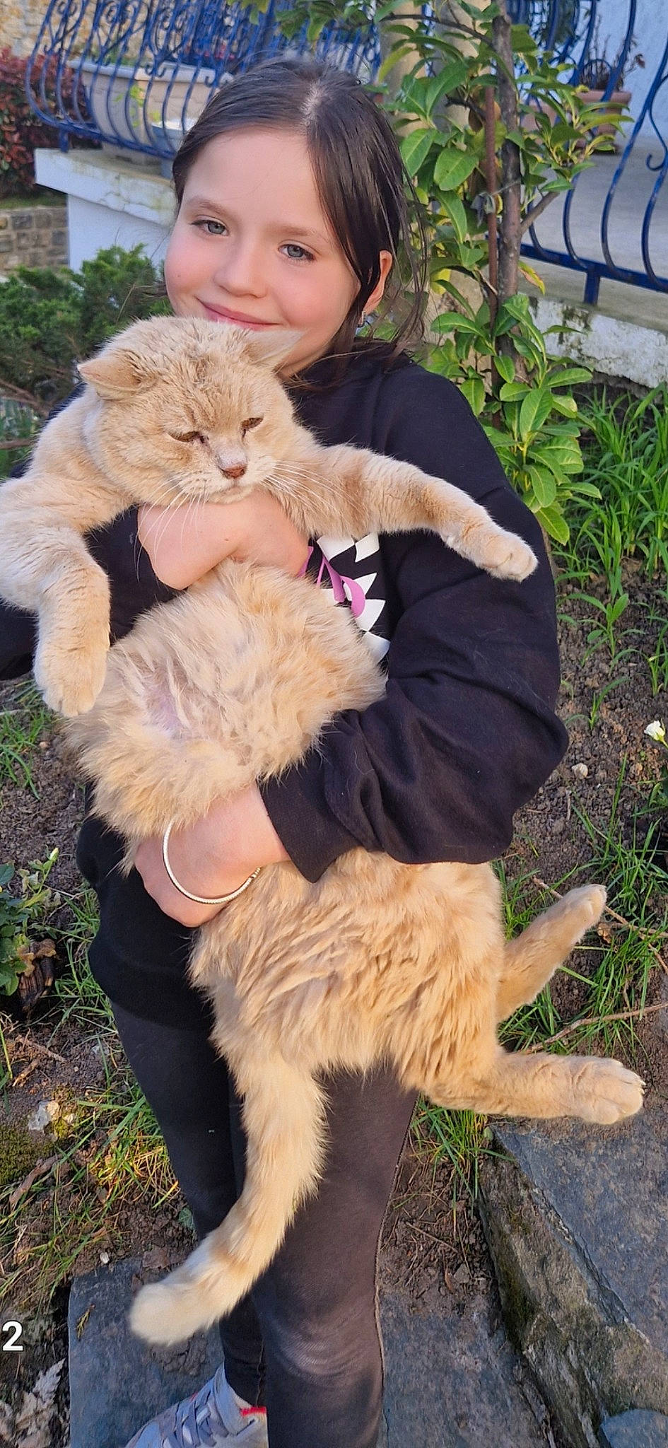 Ines participe au concours pour gagner de l'argent avec cette photo : canidae, carnivore, cat, companion_dog, dog, dog_breed, fawn, felidae, fur, fur_clothing, grass, happy, hug, joy, lap, person, plant, small_to_medium_sized_cats, smile, sporting_group