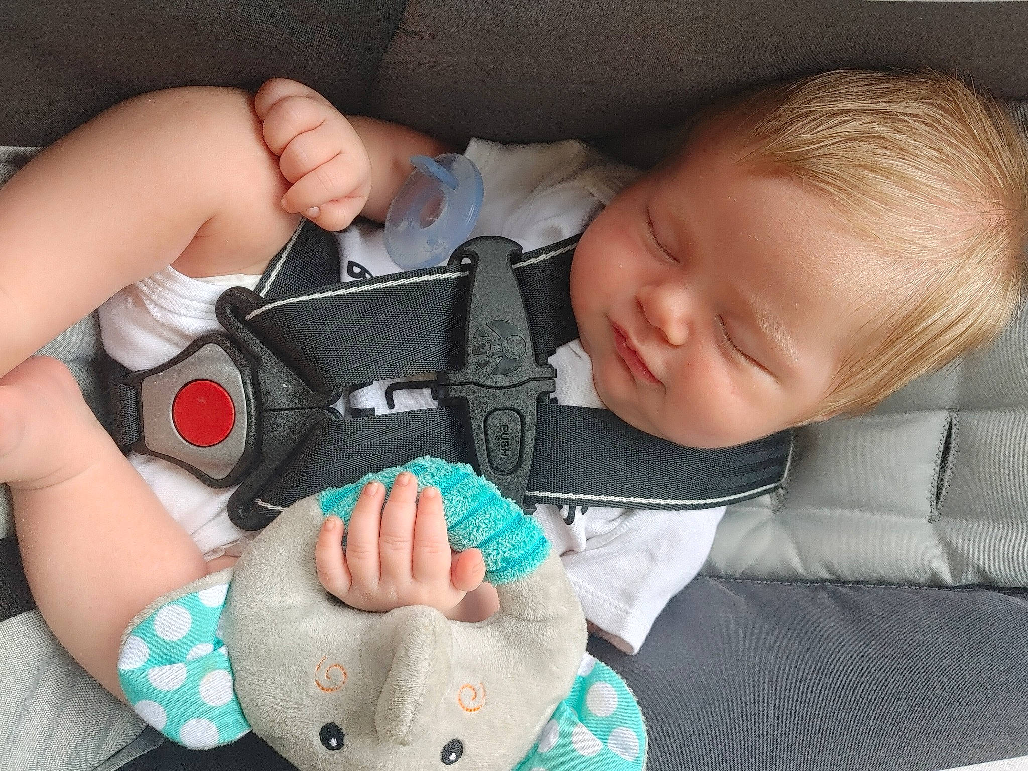 Michael is registered to the contest to win money with this photo: baby, baby_products, baby_toddler_clothing, child, comfort, eyelash, finger, gadget, gesture, hand, mammal, mouth, nail, organ, person, product, skin, thumb, toddler, vertebrate