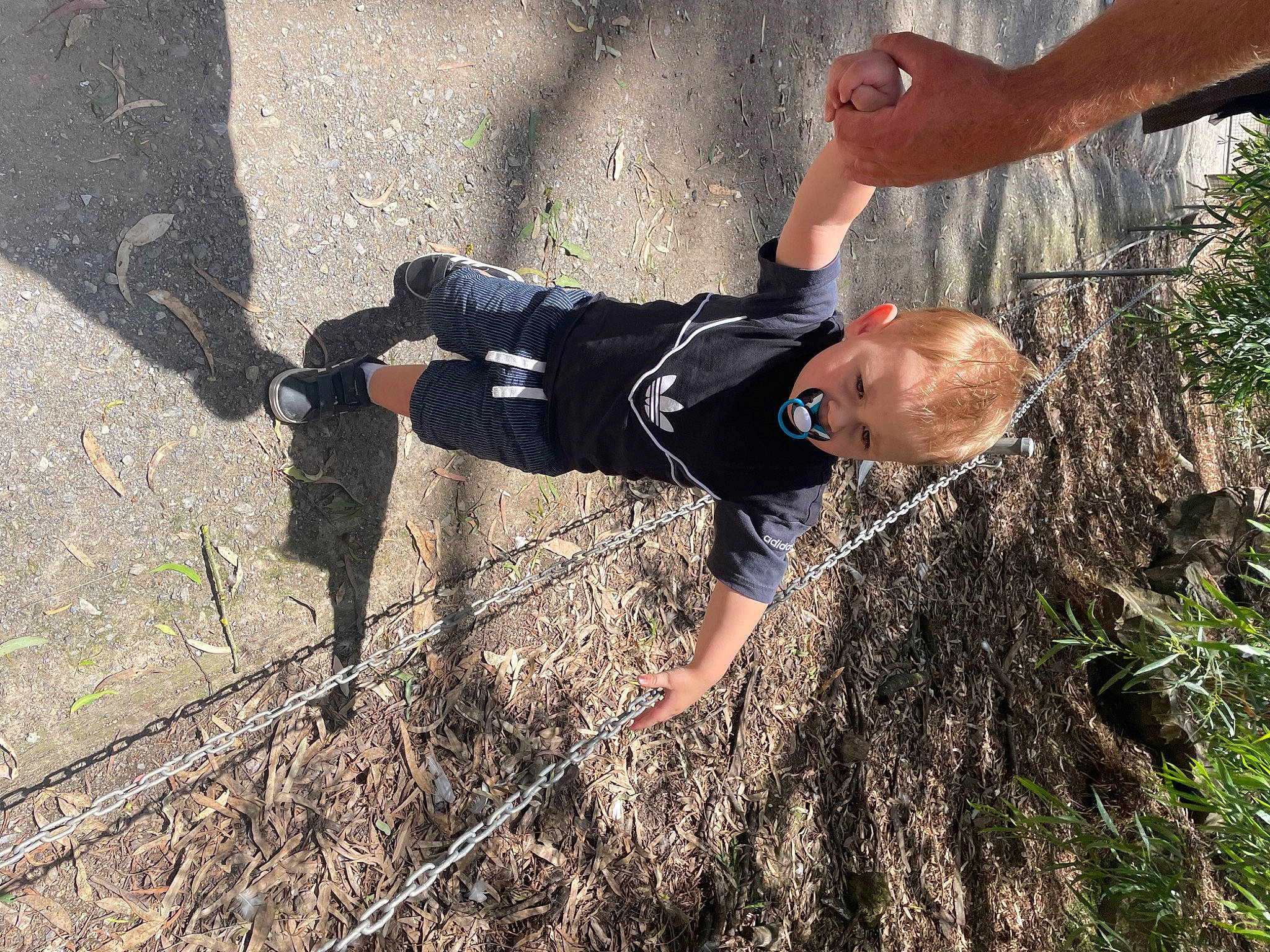 Blade joined the competition — help win amazing prizes! active_pants, adventure, balance, elbow, fun, grass, happy, knee, leisure, outdoor_shoe, people_in_nature, person, plant, recreation, rope, shorts, soil, tree