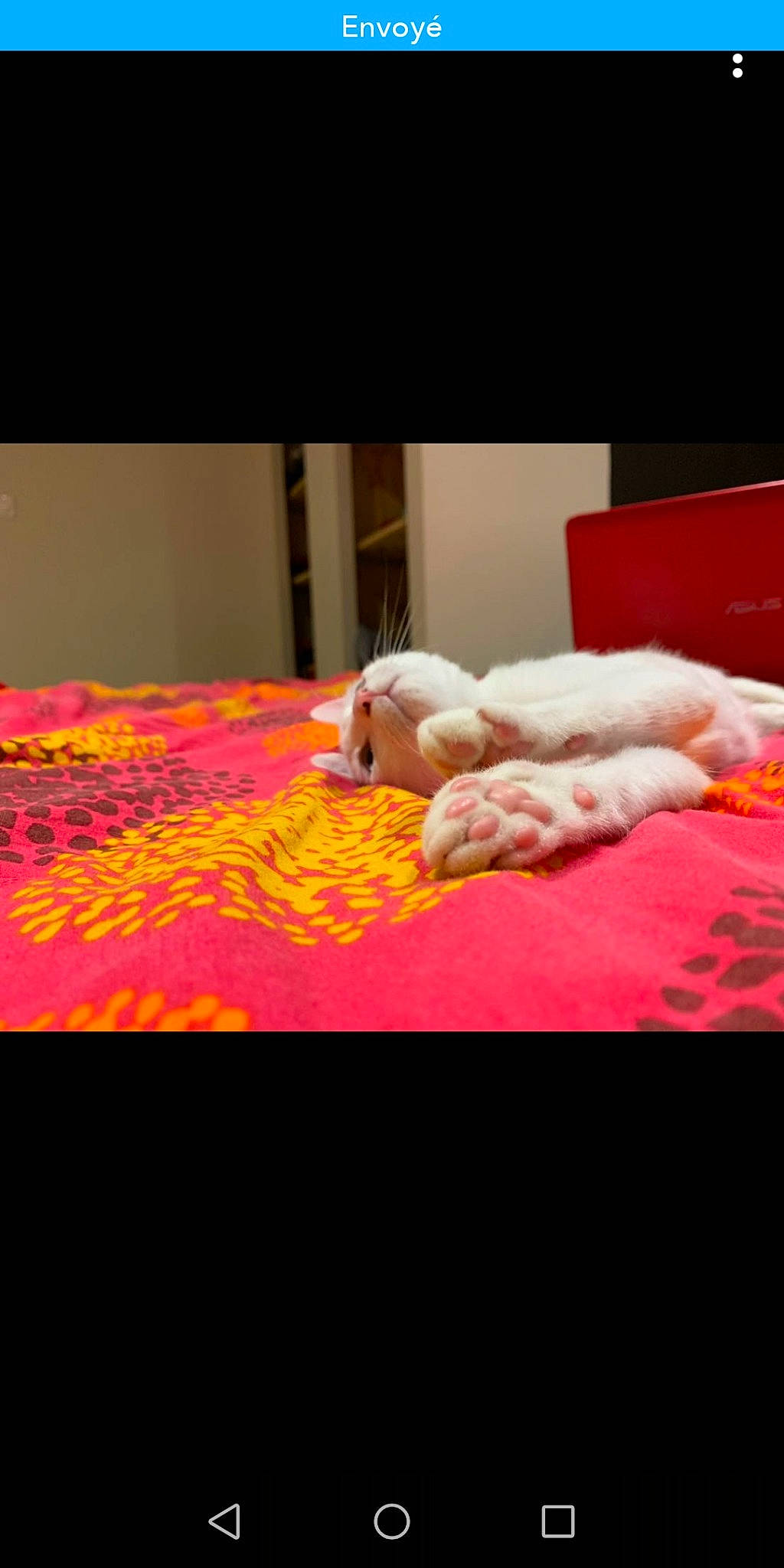 Capi participe au concours pour gagner de l'argent avec cette photo : bed, bed_sheet, blanket, canidae, cat, flesh, fur, furniture, linens, nap, non_sporting_group, orange, red, room, textile