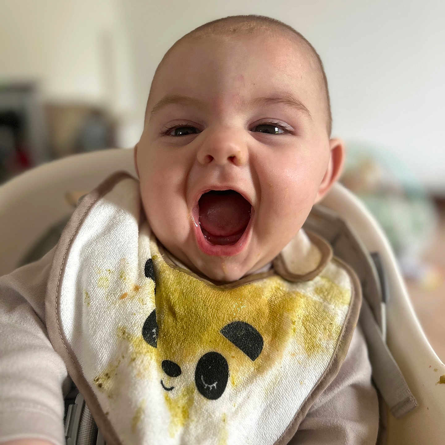 Tayron a rejoint le concours — aidez-le/la à gagner de superbes lots ! baby, bib, child, closeup, clothing, cute, expression, face, feeding_time, happy, high_chair, indoors, infant, messy, mouth_open, panda, portrait, sitting, smiling, young_child