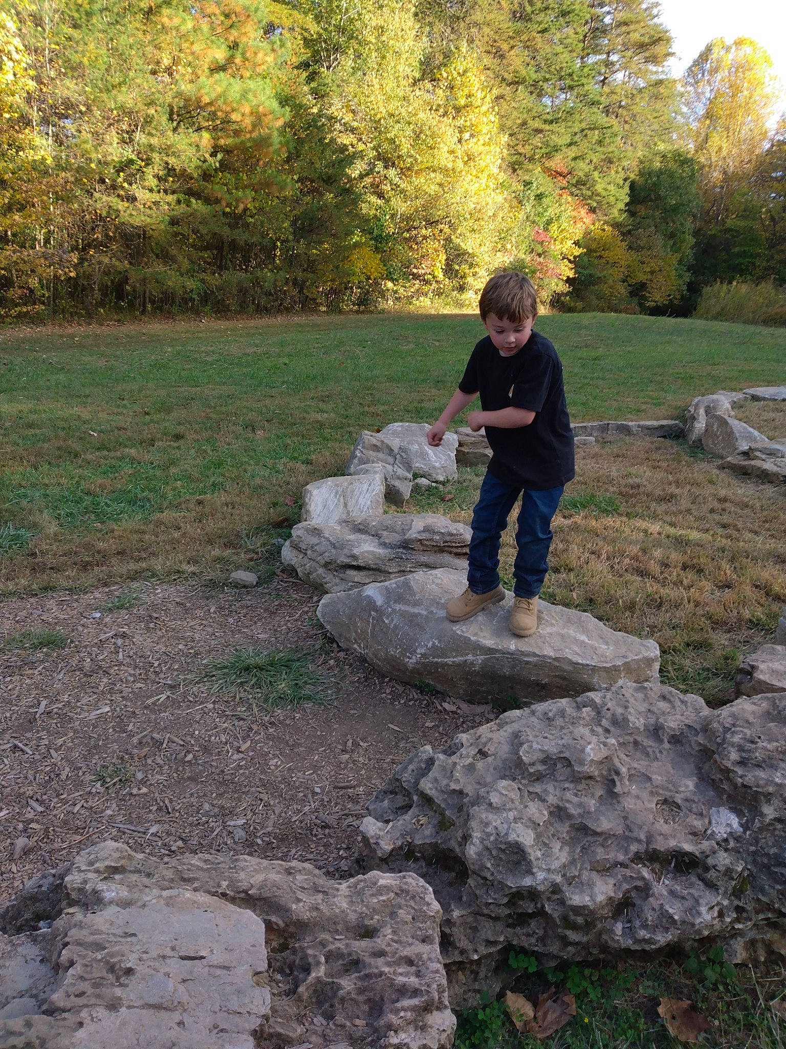 Roman joined the competition — help win amazing prizes! art, bedrock, garden, grass, grass_family, groundcover, landscape, lawn, leaf, leisure, natural_landscape, people_in_nature, person, plant, recreation, rock, sky, soil, stone_wall, tree