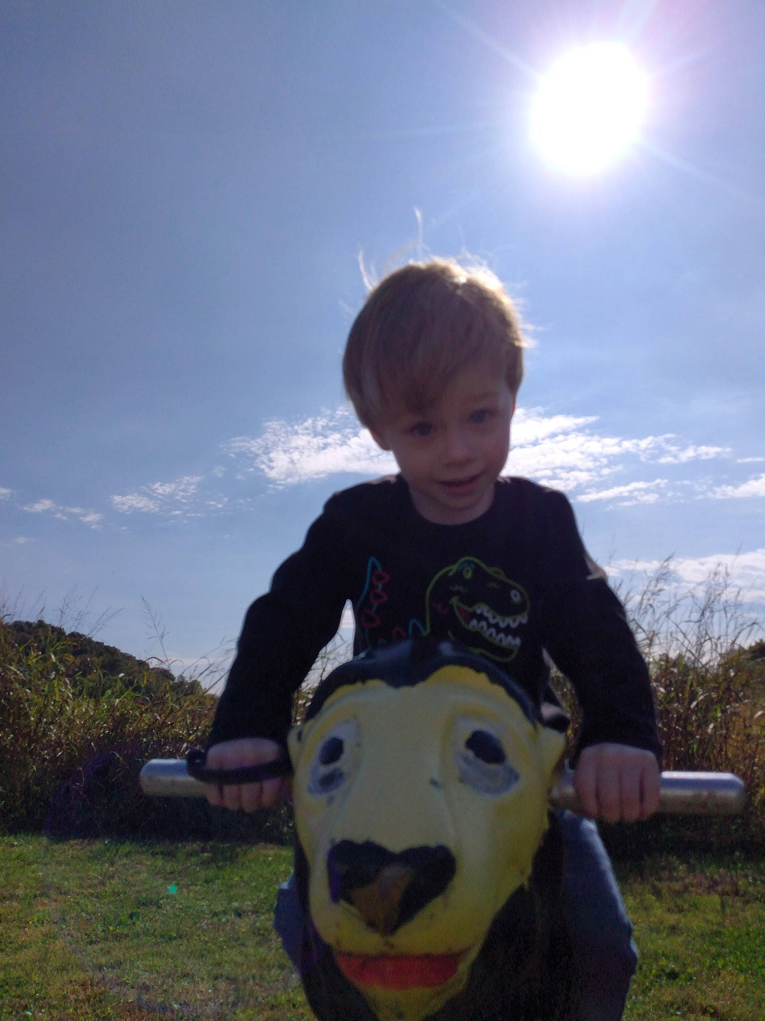 Odyn is registered to the contest to win money with this photo: child, cloud, fun, grass, grass_family, grassland, happy, landscape, leaf, leisure, meadow, natural_environment, people_in_nature, person, plant, prairie, recreation, sky, t_shirt, toddler