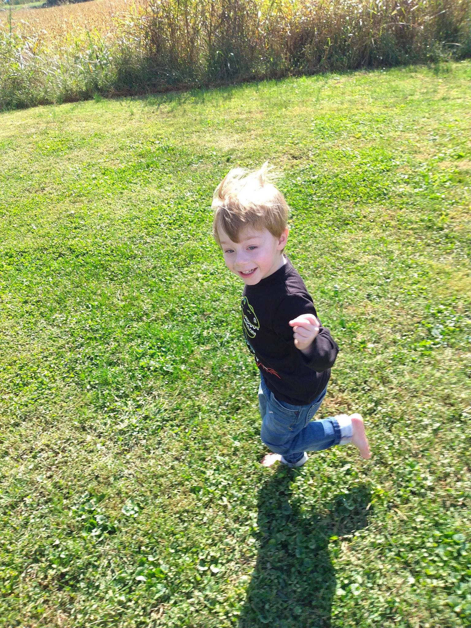 Odyn joined the competition — help win amazing prizes! baby_toddler_clothing, child, fun, garden, gardening, grass, grass_family, grassland, groundcover, joy, landscape, lawn, meadow, people_in_nature, person, plant, play, shrub, soil, terrestrial_plant