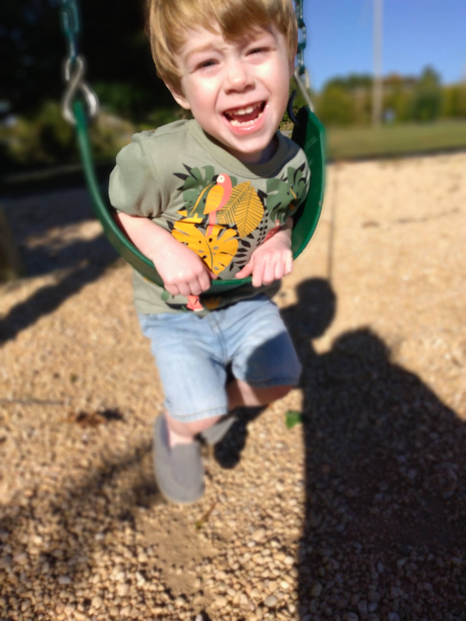 Odyn joined the competition — help win amazing prizes! child, face, flash_photography, fun, grass, happy, leisure, people_in_nature, person, recreation, sky, sleeve, smile, soil, standing, summer, swing, t_shirt, toddler, tree