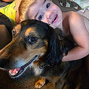 Rylie is registered to the contest to win money with this photo: animal, baby, bodypart, canine, cockerspaniel, couch, dog, face, furniture, goldenretriever, head, homedecor, hound, mouth, person, pet, photography, portrait, puppy, teeth