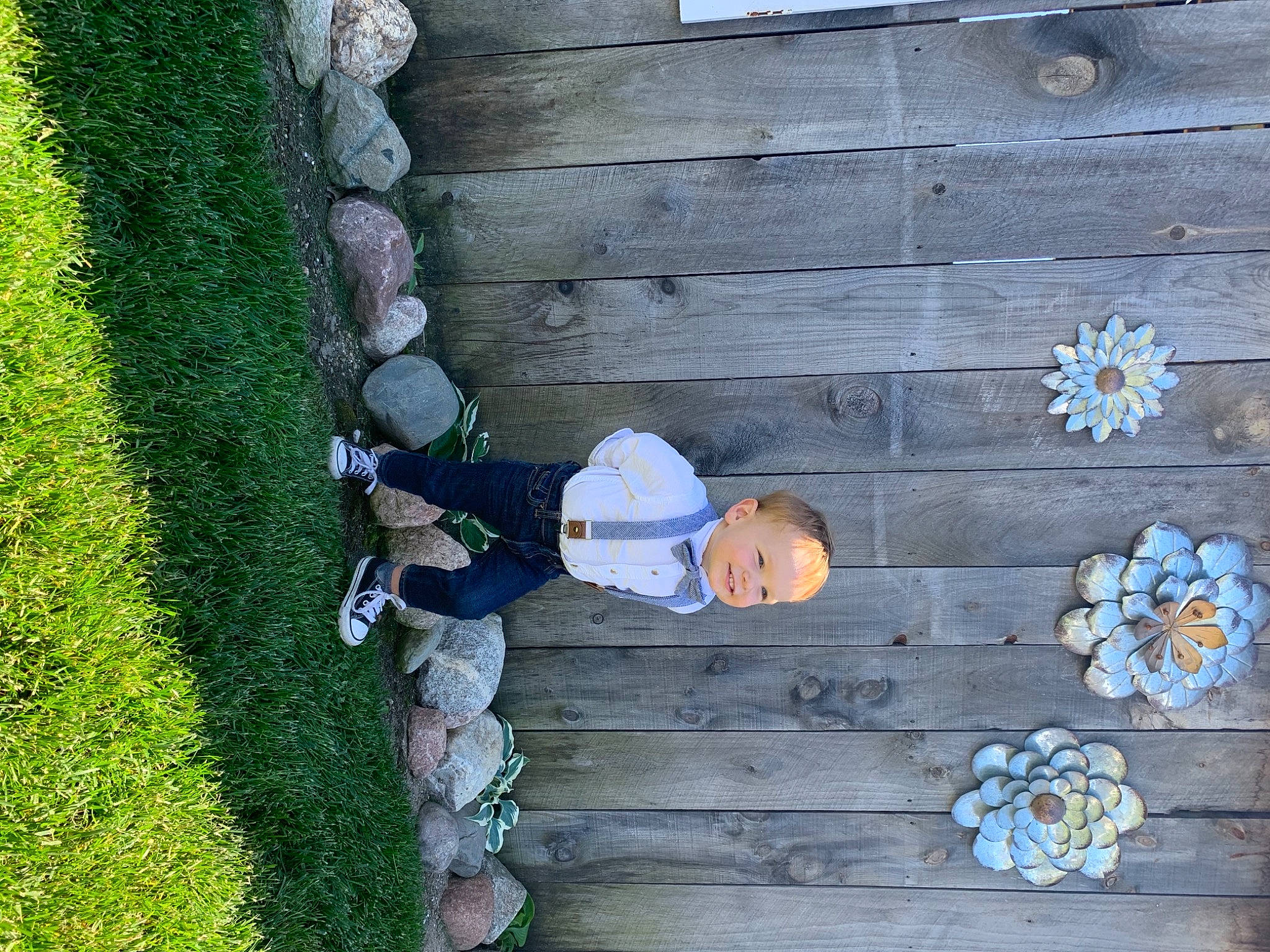 Watson joined the competition — help win amazing prizes! concrete, garden, grass, groundcover, hat, hedge, joy, landscape, leaf, leisure, pattern, person, plant, shrub, siding, wall, wood