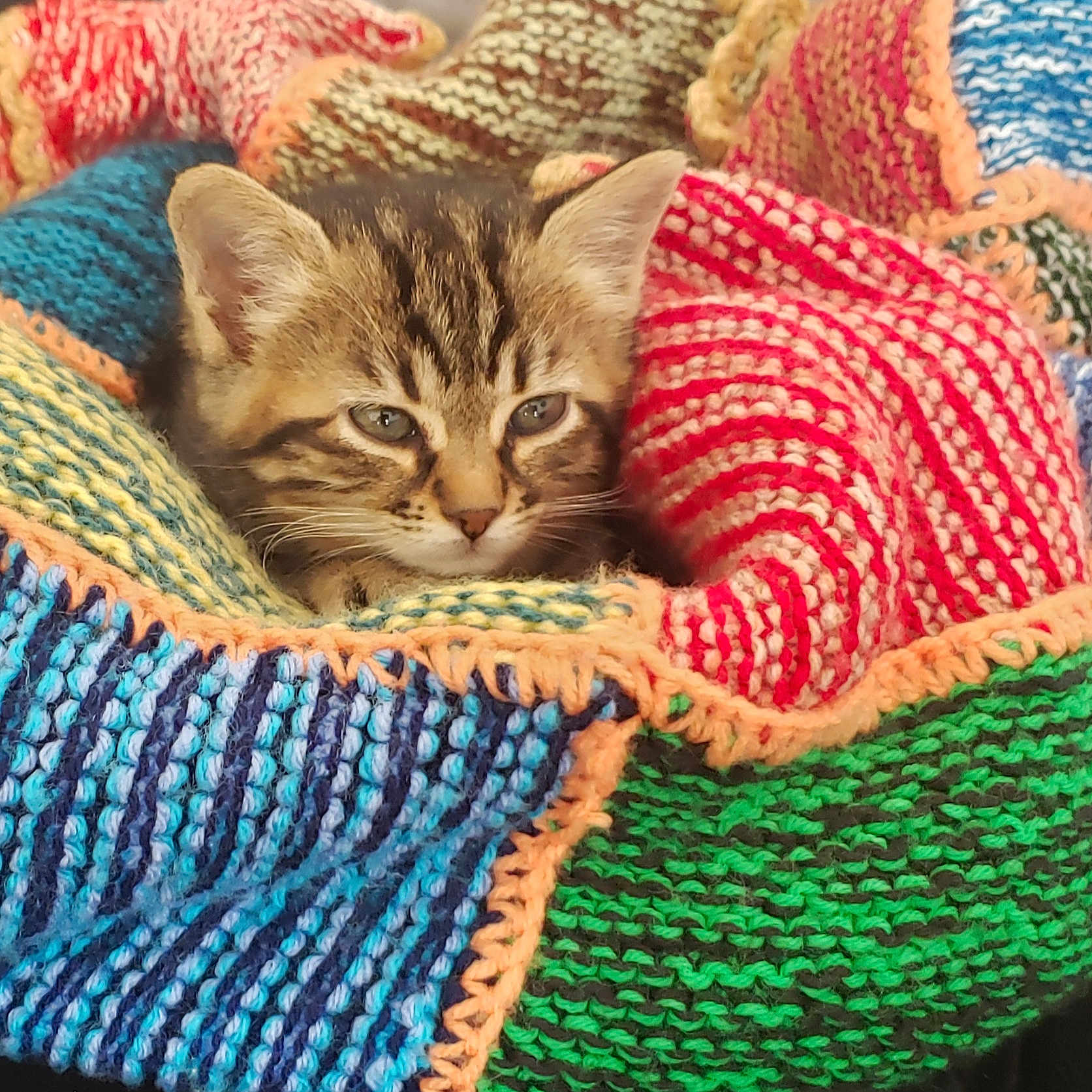 Nina