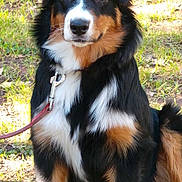 Haronn a rejoint le concours — aidez-le/la à gagner de superbes lots !