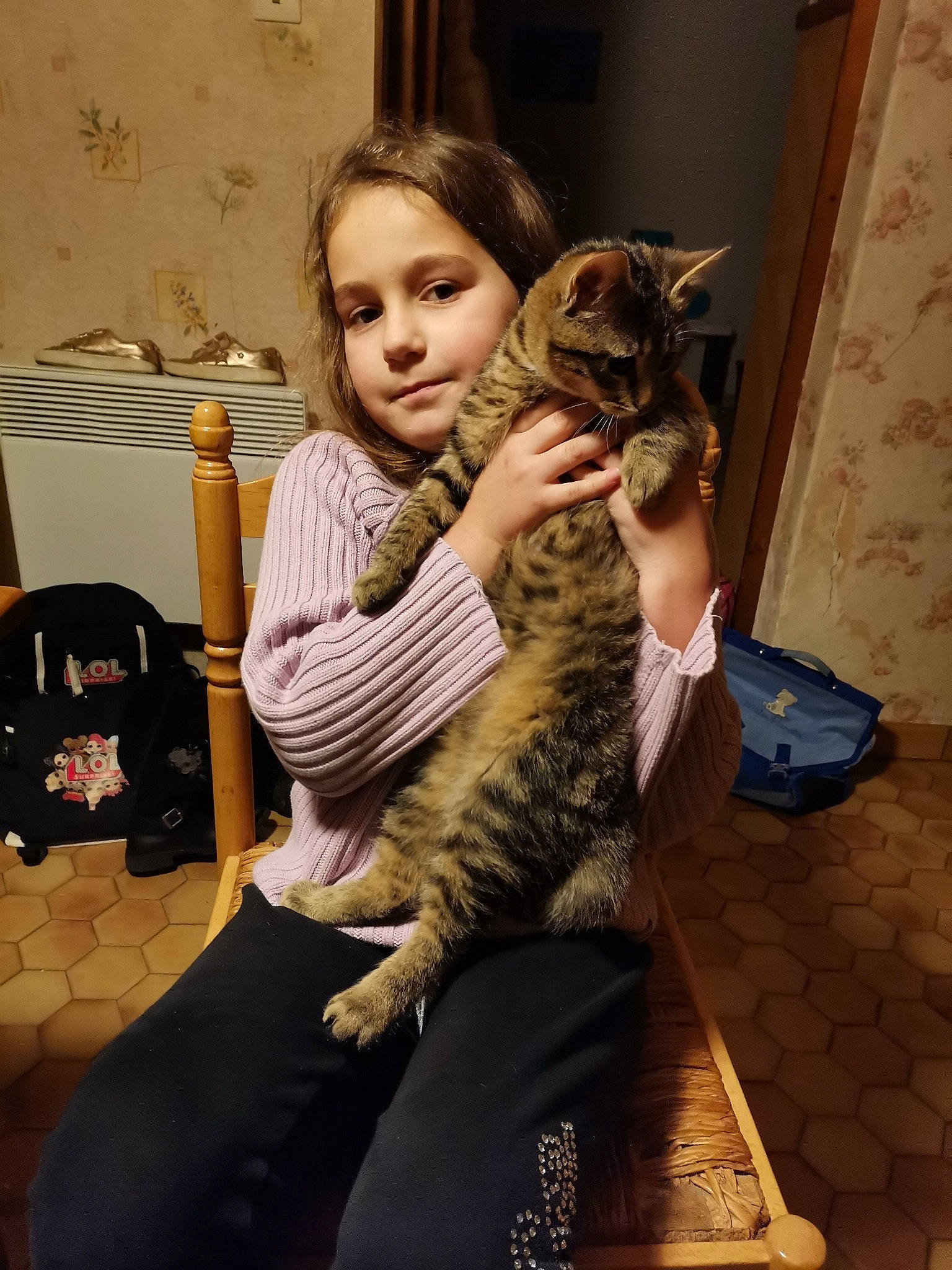 Zoé participe au concours pour gagner de l'argent avec cette photo : bag, carnivore, cat, comfort, curtain, domestic_short_haired_cat, felidae, flooring, fur, hairstyle, human_leg, interaction, lap, luggage_and_bags, sitting, small_to_medium_sized_cats, smile, tail, whiskers