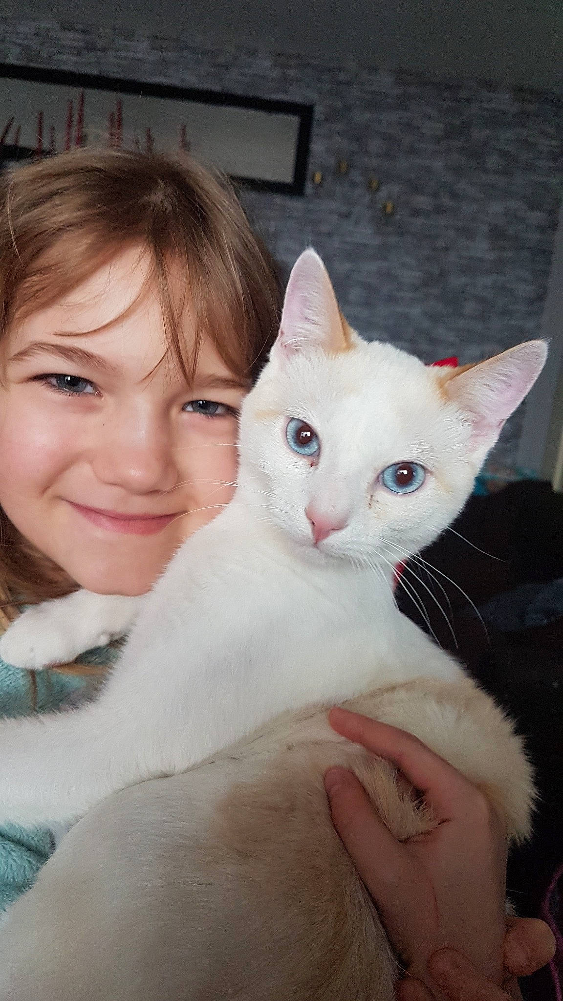 Hanae a rejoint le concours — aidez-le/la à gagner de superbes lots ! asian, burmilla, carnivore, cat, colorpoint_shorthair, ear, eye, felidae, german_rex, head, javanese, joy, khao_manee, mammal, nose, person, skin, small_to_medium_sized_cats, turkish_angora, turkish_van