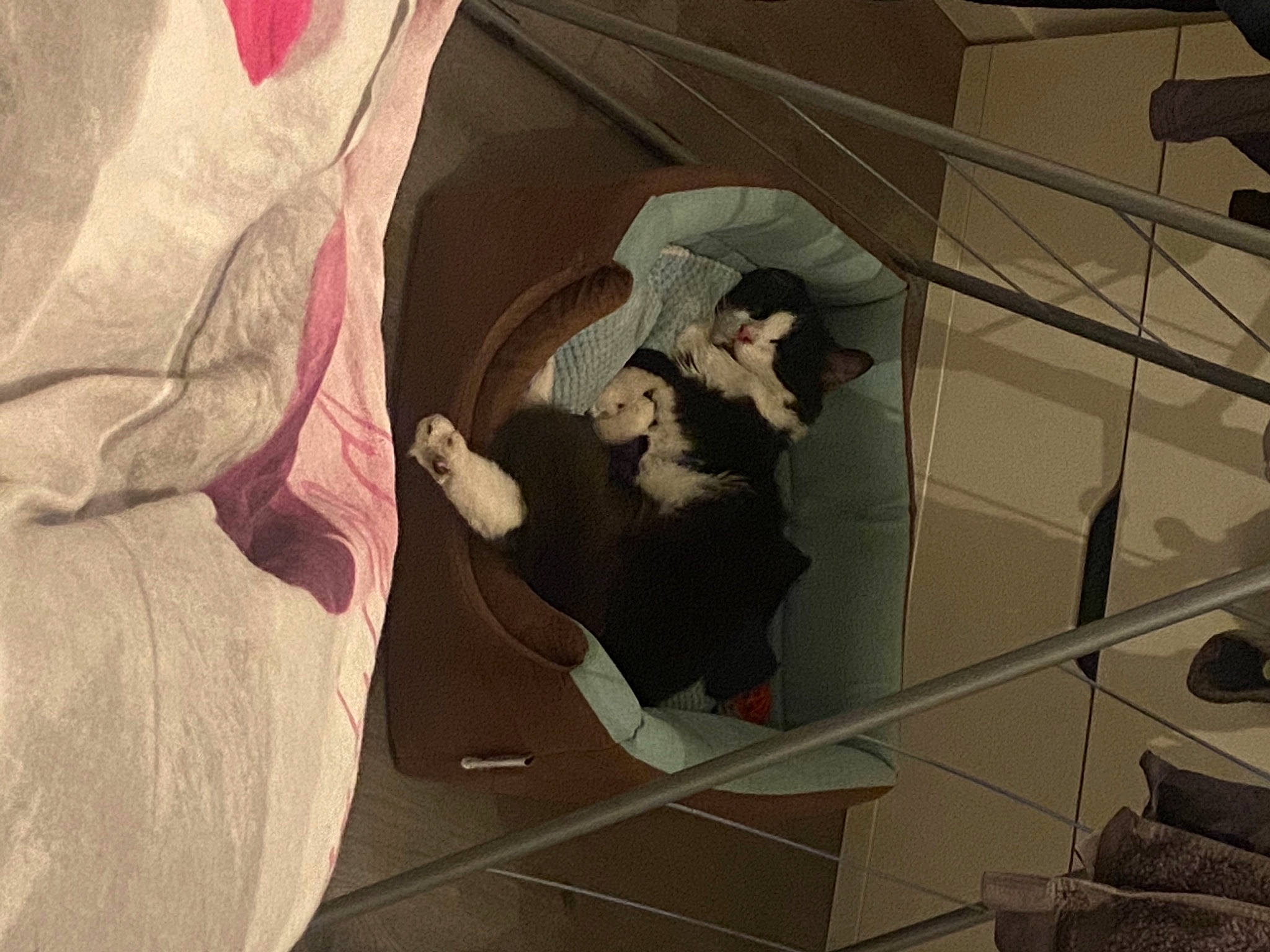 Naha a rejoint le concours — aidez-le/la à gagner de superbes lots ! art, carnivore, ceiling, comfort, event, flooring, room, sculpture, shadow, space, stairs, tints_and_shades, tourist_attraction, visual_arts