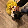 dog, black_dog, tutu, yellow_tutu, pink_shirt, pet, hand, person, floor, wooden_floor, rug, indoor, playful, animal, clothing, cute, tongue_out, cozy, casual, petting
