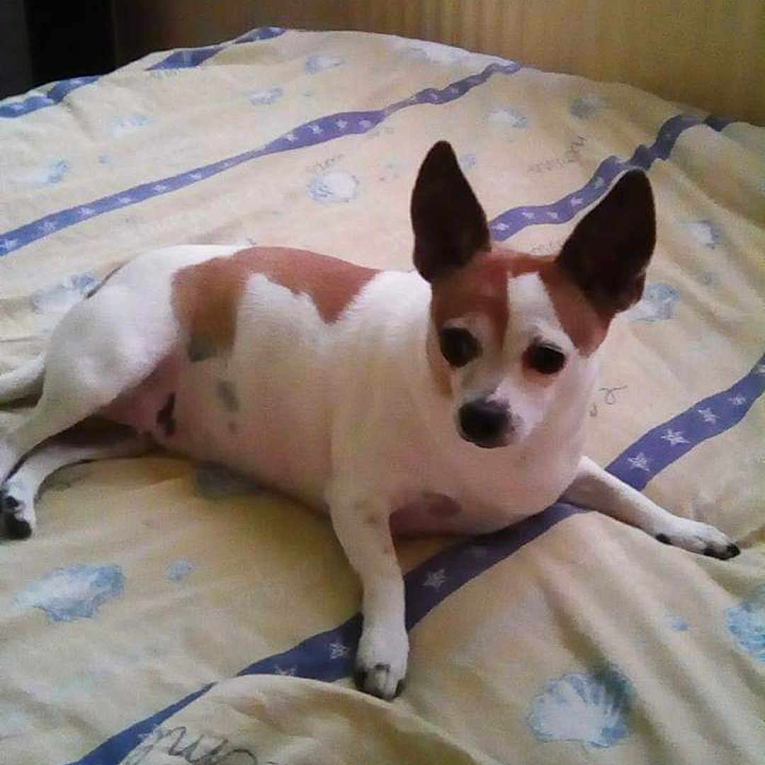 Lilou