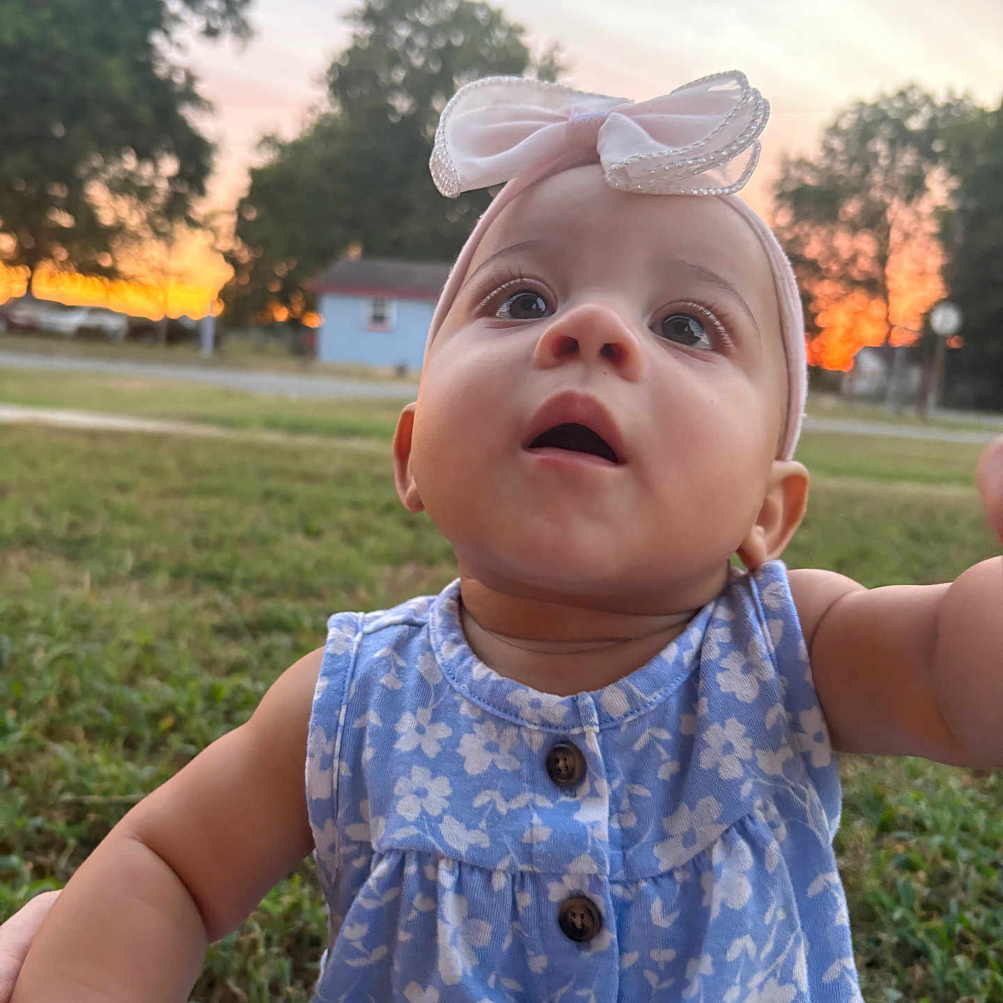 Evealyn is registered to the contest to win money with this photo: baby, blue, bow, candid, child, curious, dress, expression, floral, girl, grass, hands, headband, house, nature, outdoor, portrait, sky, sunset, trees