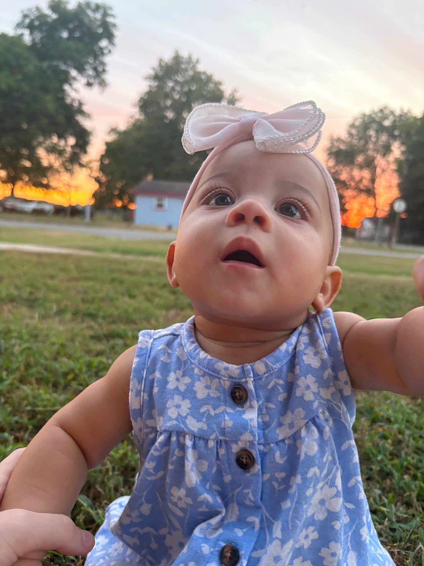 Evealyn is registered to the contest to win money with this photo: baby, blue, bow, candid, child, curious, dress, expression, floral, girl, grass, hands, headband, house, nature, outdoor, portrait, sky, sunset, trees