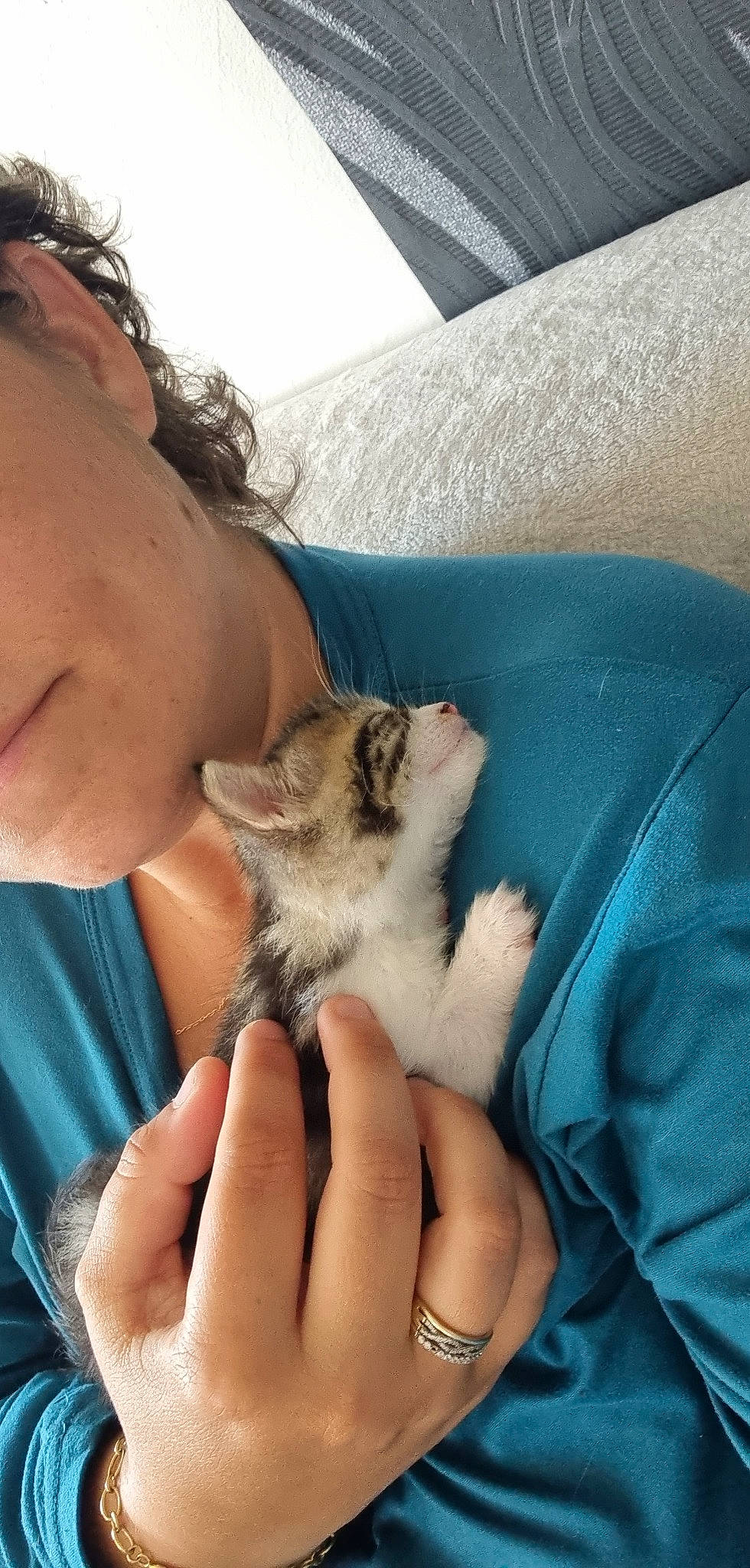 Ruby participe au concours pour gagner de l'argent avec cette photo : carnivore, cat, comfort, companion_dog, domestic_short_haired_cat, fawn, felidae, finger, fur, gesture, hand, linens, nail, paw, small_to_medium_sized_cats, thumb, whiskers, wildlife_biologist