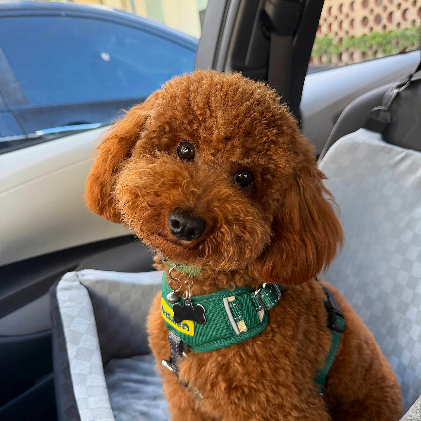 Milo