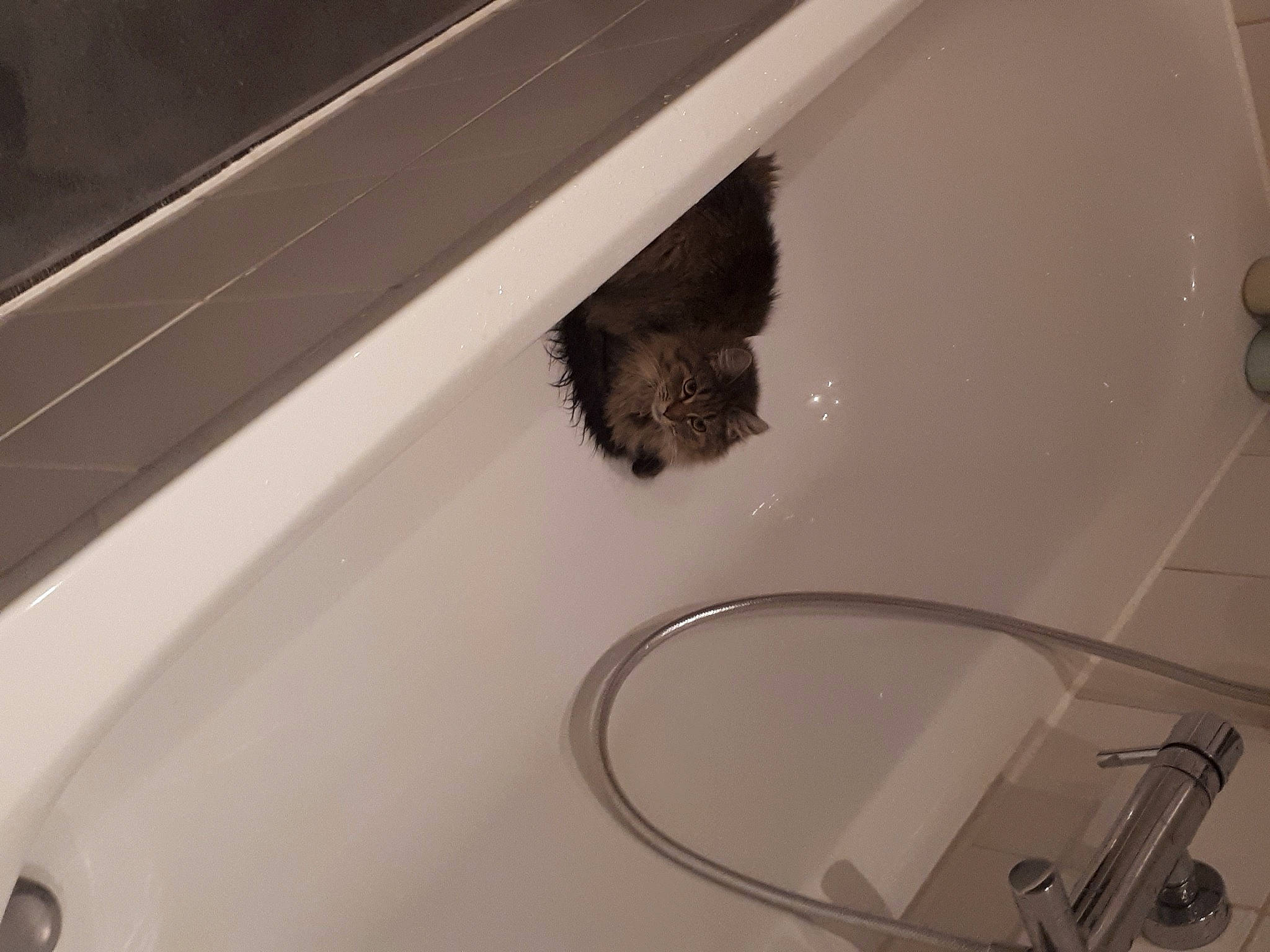 Tina a rejoint le concours — aidez-le/la à gagner de superbes lots ! automotive_exterior, bathroom, bathroom_accessory, ceiling, floor, flooring, glass, hardwood, household_hardware, metal, plumbing, plumbing_fixture, room, stairs, tap, tile, vehicle_door, wood