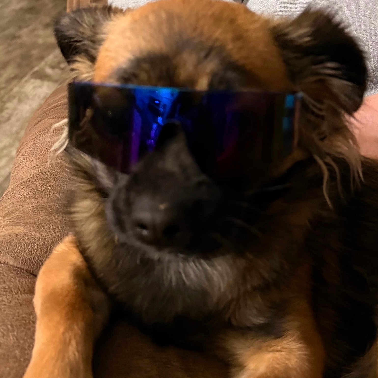 Bailey