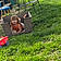 Oaklyn