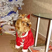 Chanel a rejoint le concours — aidez-le/la à gagner de superbes lots !