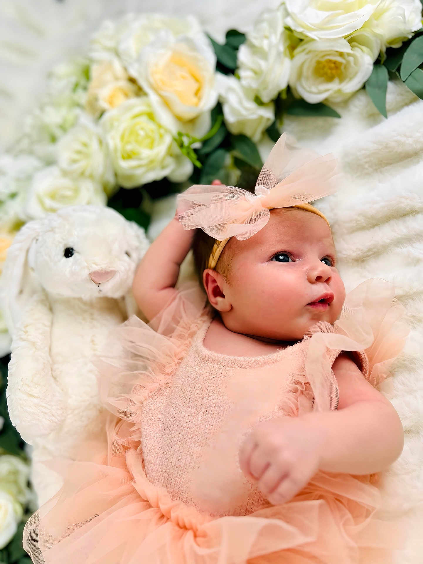 Sofia is registered to the contest to win money with this photo: baby, infant, child, tulle, dress, headband, flower, roses, stuffed_animal, bunny, blanket, soft_toy, cute, portrait, newborn, pink, white, floral, resting, cozy