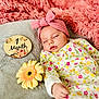 baby, sleeping, headband, flower, blanket, pink, gray, onesie, floral_pattern, soft_texture, infant, cute, peaceful, wooden_plaque, age_marker, portrait, closeup, indoor, newborn, resting
