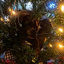 cat, kitten, tortoiseshell, christmas_tree, holiday, lights, ornament, garland, pine_needles, whiskers, pet, indoor, hiding, curious, closeup, decorations, twinkle_lights, faux_foliage, cozy, portrait