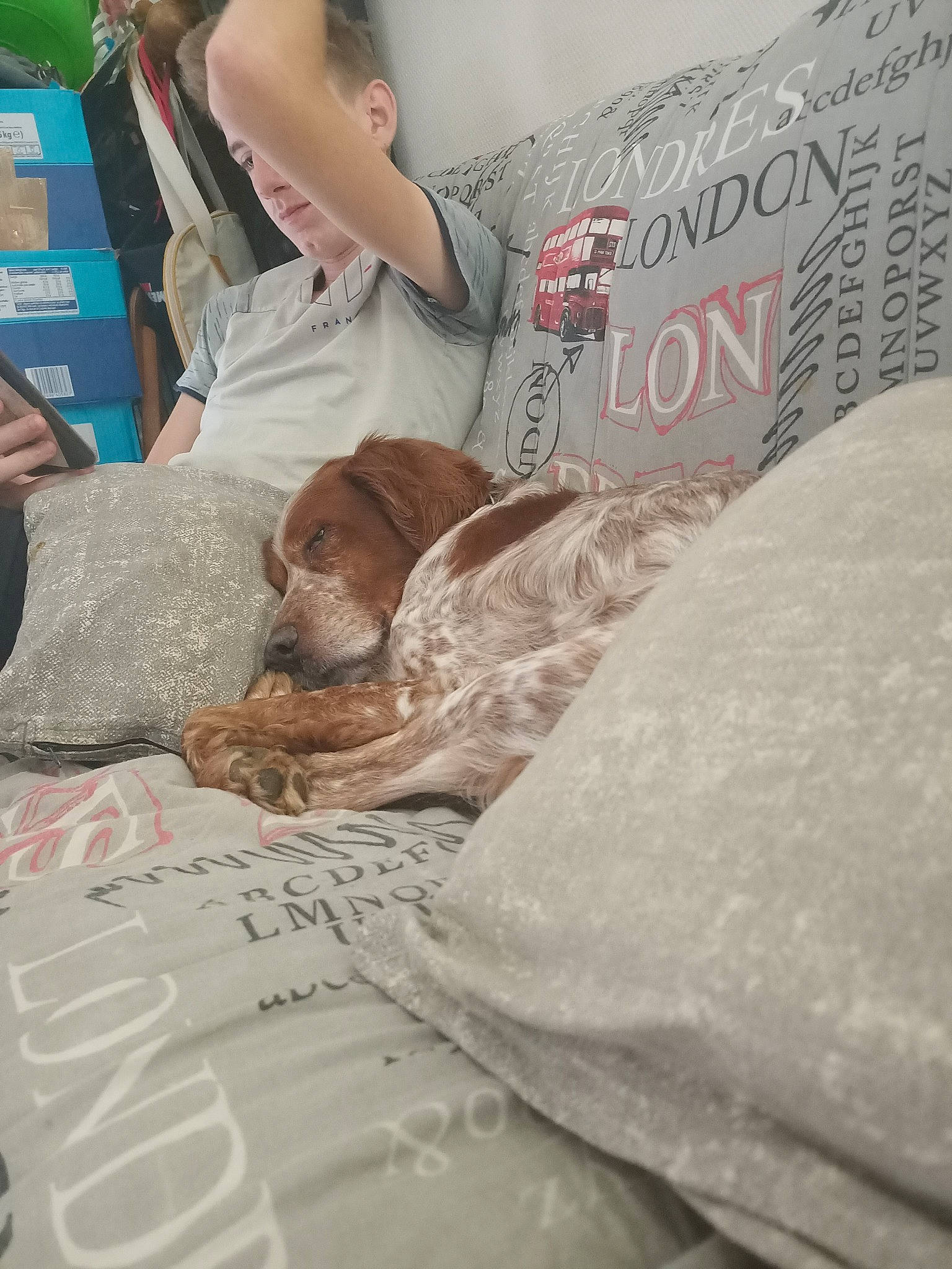 Zim participe au concours pour gagner de l'argent avec cette photo : bed_sheet, bedding, bedroom, child, comfort, event, flesh, flooring, font, linens, nap, paper, room, t_shirt, textile