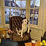 dog, leather_armchair, pub, pint_of_beer, glass_of_soda, wooden_table, yellow_daffodils, window, street, buildings, leash, person_arm, jeans, watch, cushion, indoors, vintage, relaxed, cozy, daylight